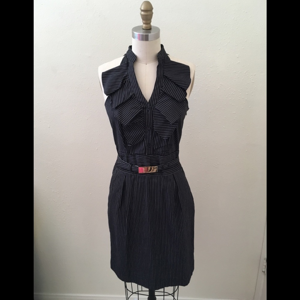 Express pin stripe dress